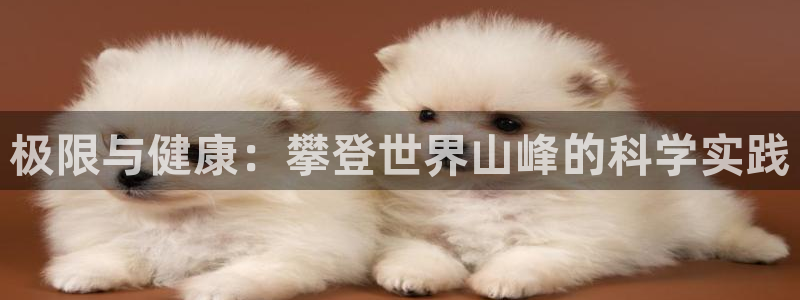 球王会体育官方正版app娱乐是那个系列的台子:极限与健康:攀