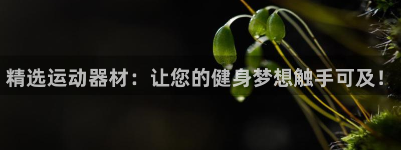 球王会官方平台体育:精选运动器材:让您的健身梦想触手可及!