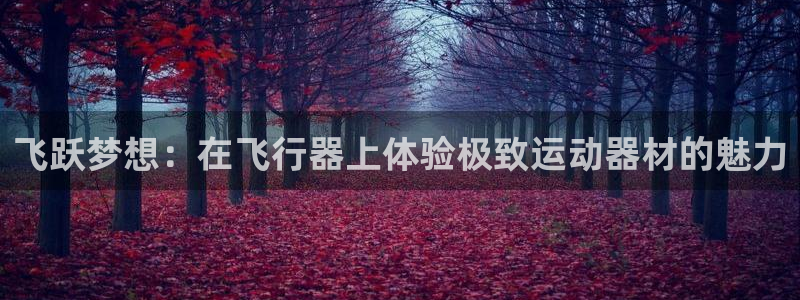 球王会体育官方正版app娱乐:飞跃梦想:在飞行器上体验极致运