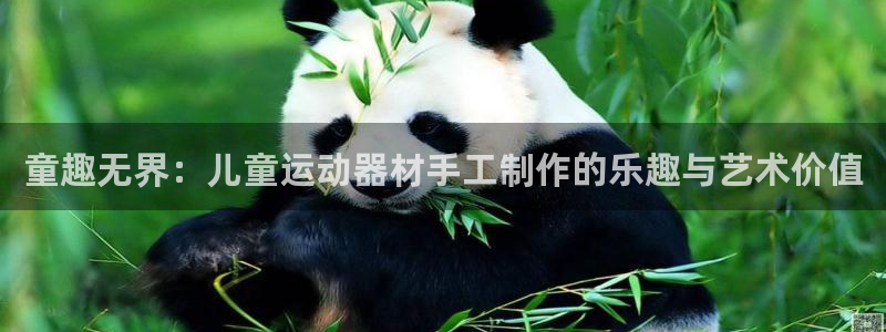 球王会体育官网下载平台:童趣无界:儿童运动器材手工制作的乐趣